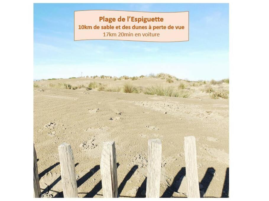 Suite Maya Parking Clim Wifi Centre-Ville Et Port - Rossiconciergerie - Linge Inclus La Grande Motte Bagian luar foto