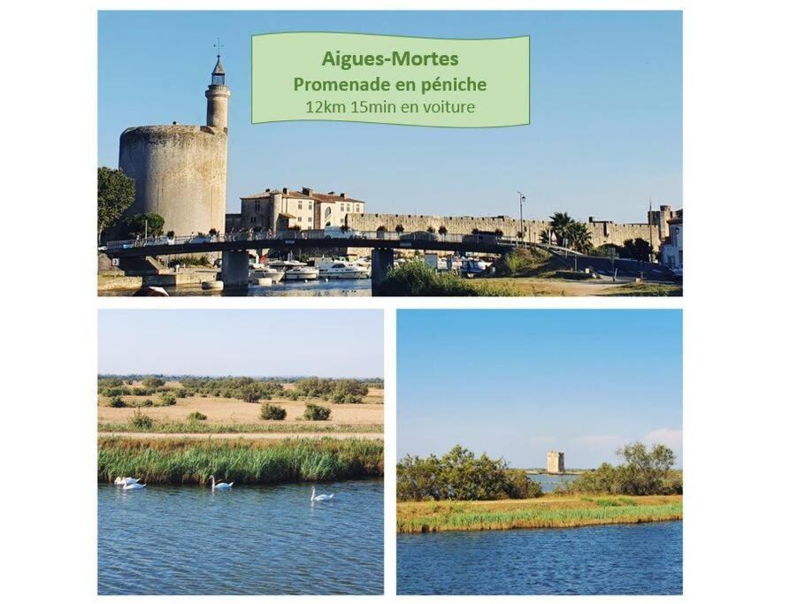 Suite Maya Parking Clim Wifi Centre-Ville Et Port - Rossiconciergerie - Linge Inclus La Grande Motte Bagian luar foto